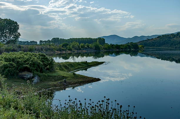 istock Kerkini lake eco-area at nord Greece 486733066