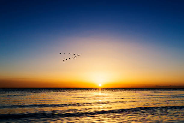 istock qinghai lake, sunrise 486733604