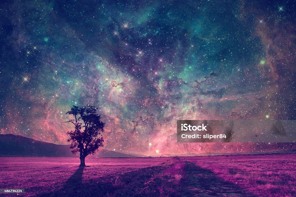 alien landscape red alien landscape with alone tree silhouette in purple field- elements of this image are furnished by NASA 2015 Stock Photo