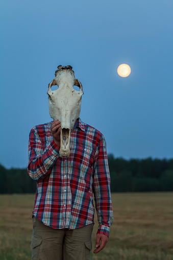 Hombre joven con caballo cráneo en la cabeza en el campo de la luna photo