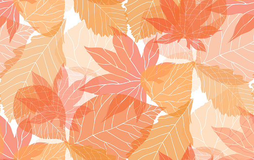 Seamless autumn pattern with colorful translucent leaves for your creativity