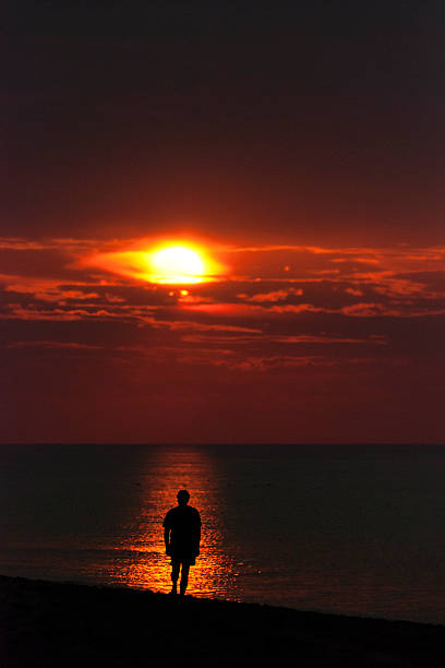 istock Adult man silhouette watching dramatic sunset at North sea beach 486740952