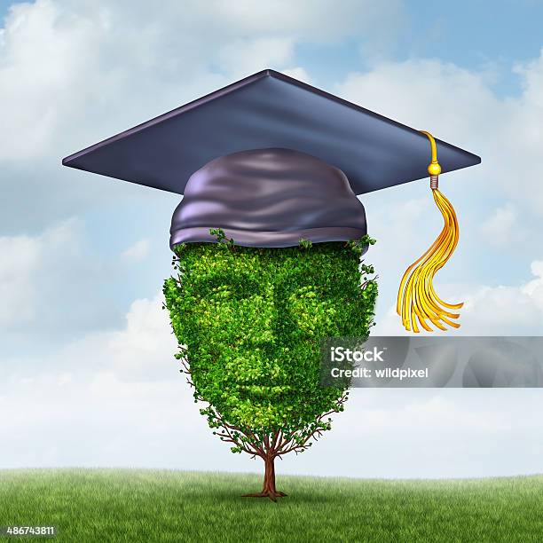 Education Growth Stock Photo - Download Image Now - Achievement, Adult Student, Aspirations