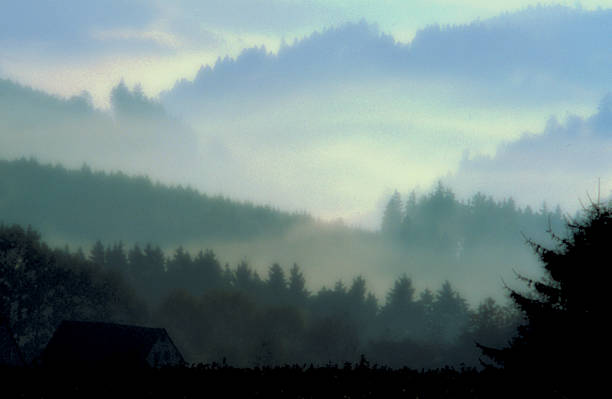 istock Effect: fog landscape in soft focus as a background motive 486746090