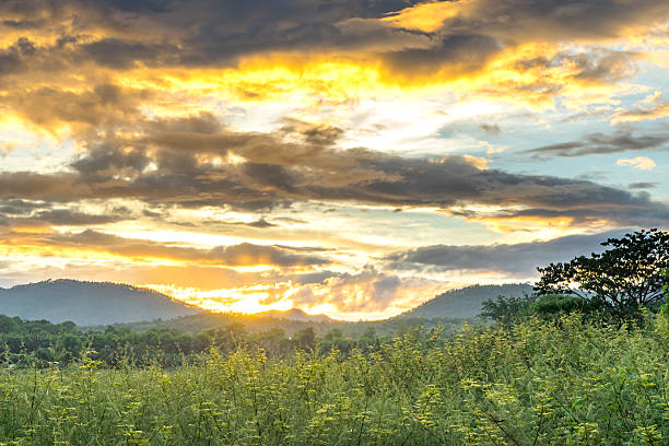 istock Landscape, sunny dawn in a mountain 1 486747512