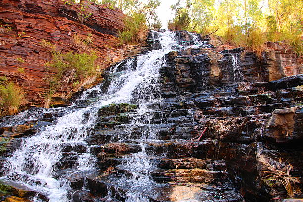 istock Fortescue Falls in Australia 486750258