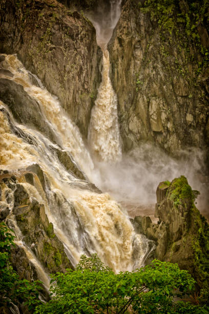 barron falls, kuranda, queensland, australia - cairns monsoon queensland waterfall fotografías e imágenes de stock