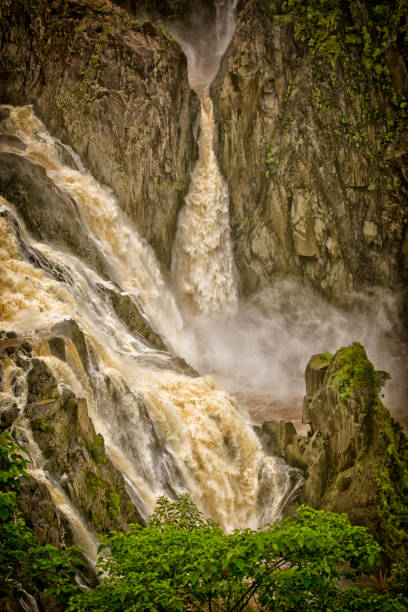 barron quedas, kuranda, queensland, austrália - cairns monsoon queensland waterfall imagens e fotografias de stock