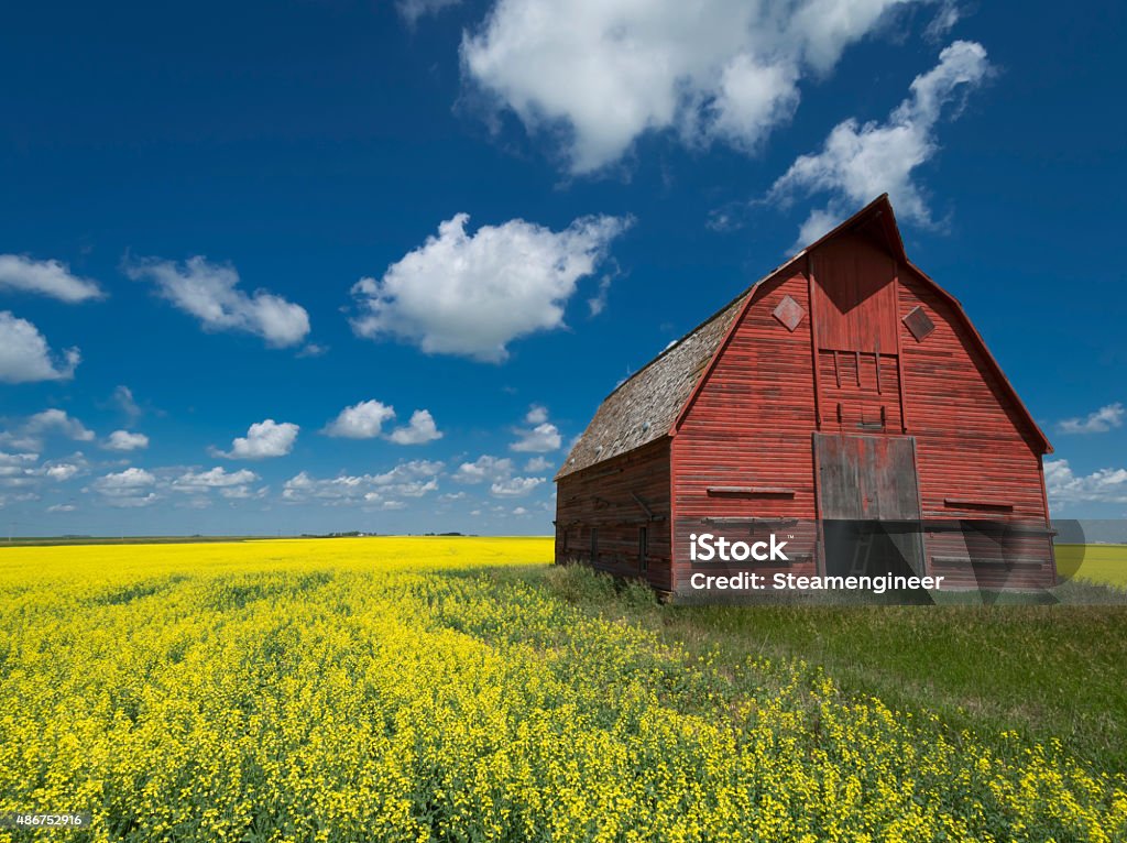 Farm in Saskatchewan Red barn on a farm in southern Saskatchewan Saskatchewan Stock Photo