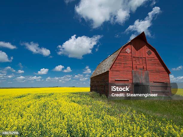 Farm In Saskatchewan Stock Photo - Download Image Now - Saskatchewan, Farm, Barn