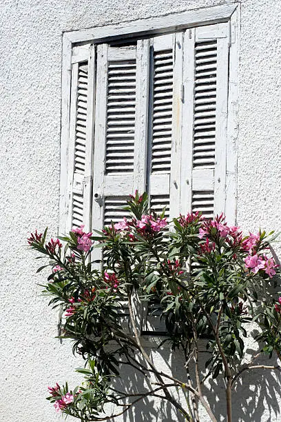 window with flowerbox