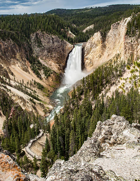 Yellowstone Falls Yellowstone Falls in Yellowstone National Park in Wyoming. grand canyon of yellowstone river stock pictures, royalty-free photos & images