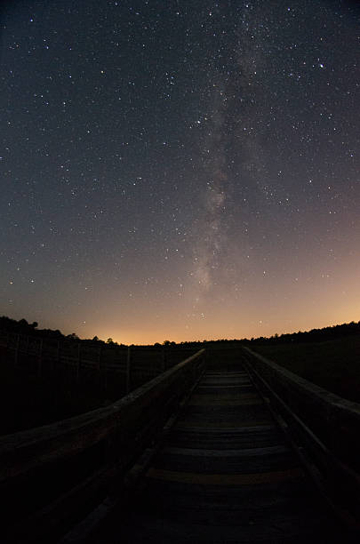 istock Boardwalk at night with milky way 486756604