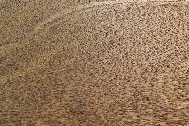 istock brown color nature pattern detail of teak 486756972