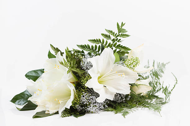 composition avec bouquet blanc amaryllis - funérailles photos et images de collection