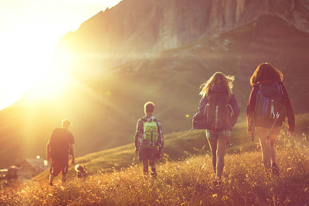istock Adventures on the Dolomites with dog 486760252
