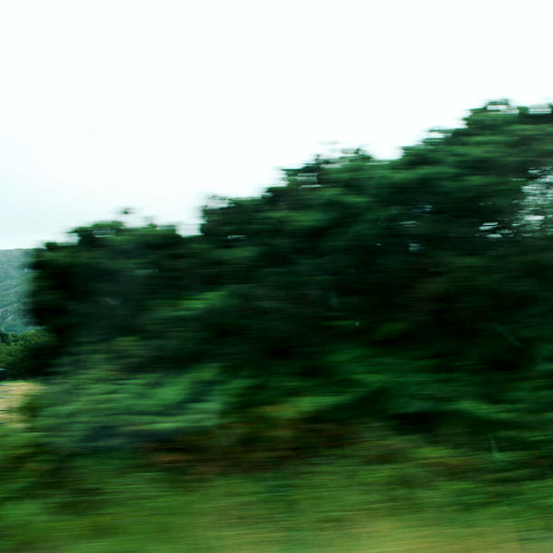 istock Blurred action from car at high speed. Aged photo. 486760762