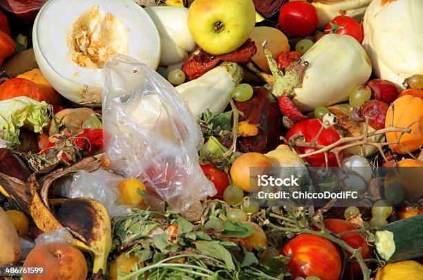 Scraps Of Rotten Fruit And Vegetables Stock Photo - Download Image Now - Agriculture, Animal Dung, Basket