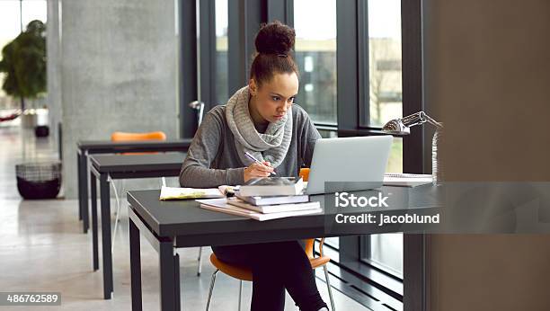 Young Female Student Taking Notes For Her Study Stock Photo - Download Image Now - University Student, Internet, Educational Exam