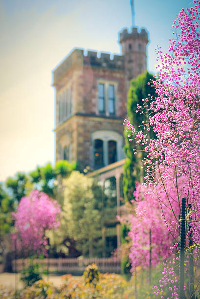 istock New Zealand castle scenes 486763284