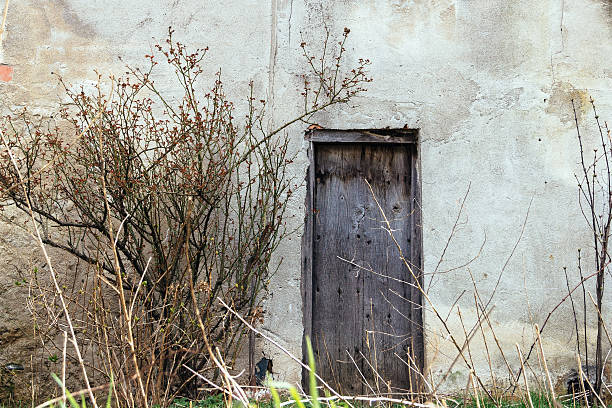 istock Door in the countryside 486763580