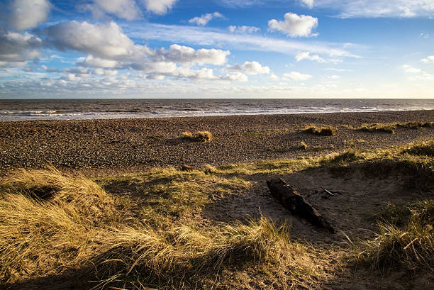istock Blue sky Summer beach sunset landscape 486763951