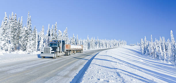 istock Trucking in the Remote Winter Wilderness 486766869