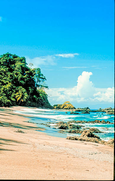 Photographed on the beach in Costa Rica.