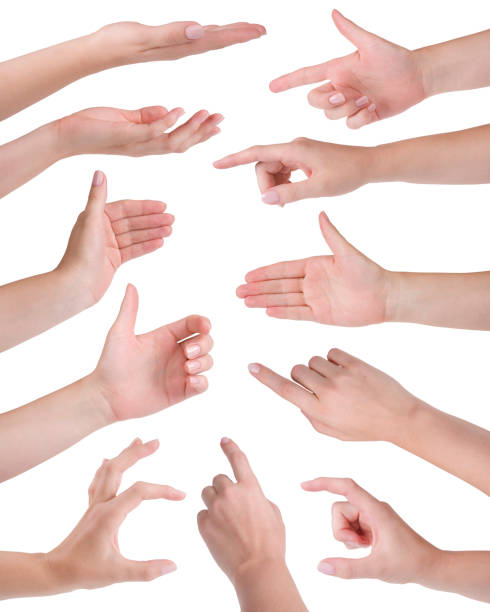 istock Collage of eleven woman hands isolated on white 486767813