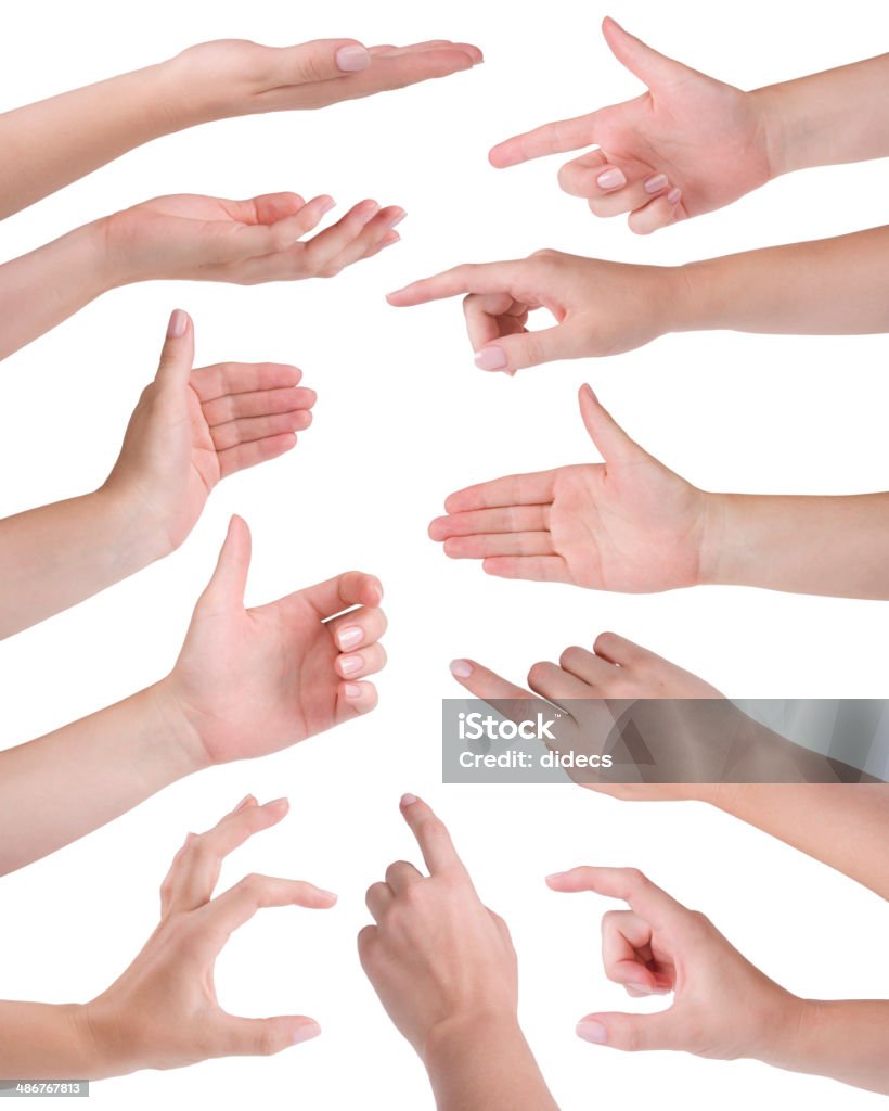 Collage of eleven woman hands isolated on white High Angle View Stock Photo