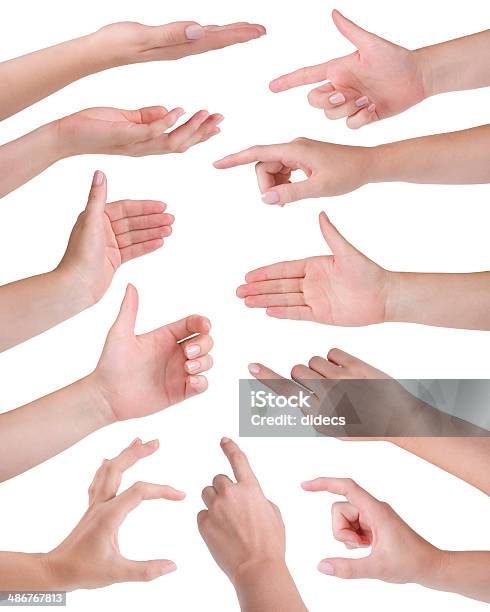 Collage Of Eleven Woman Hands Isolated On White Stock Photo - Download Image Now - High Angle View, Reaching, Women
