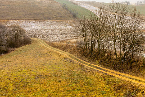 istock Countryside view frosty hilly fields with trees 486776850