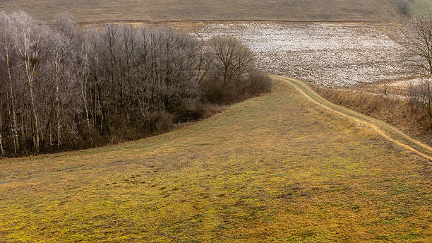 istock Countryside view frosty hilly fields with trees 486776956
