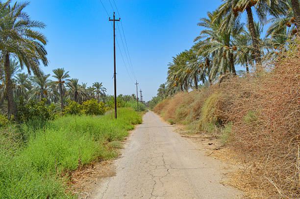 istock iraq country road 486777810