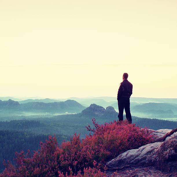 istock Tall man on cliff with heather bush. Sharp rocky mountains 486778866