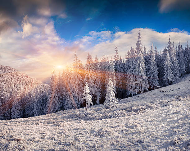 istock Sunny winter morning in the Carpathian mountains. 486780292