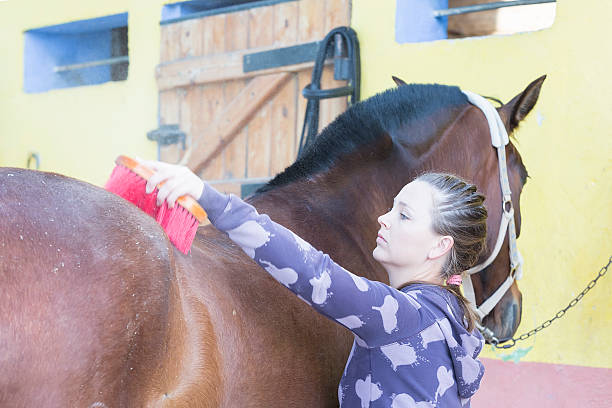istock girl grooming a horse 486780974