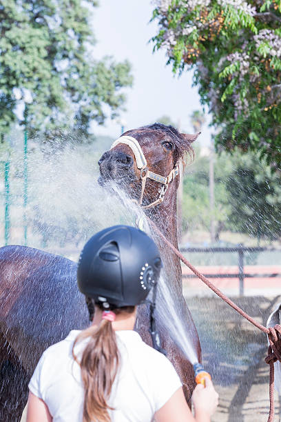 istock girl refreshing horse 486781762