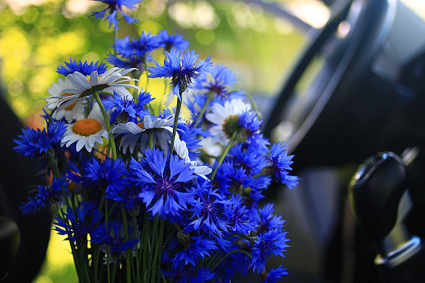 istock Summer flowers in the car 486783444