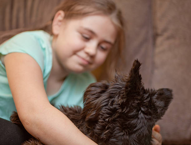 istock Little girl with a her miniature schnauzer 486785405