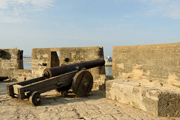 istock Cannon on walls in India 486785992