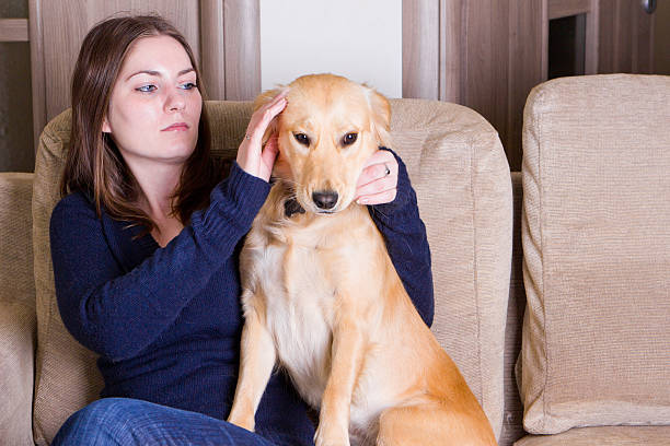 istock Happy girl playing with dog 486786385