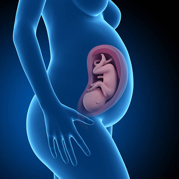 istock medical illustration 486787446