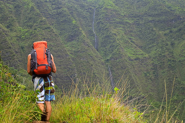 Hiker and Waterfall A solo hiker trudges on towards a waterfall in the distance. north shore stock pictures, royalty-free photos & images