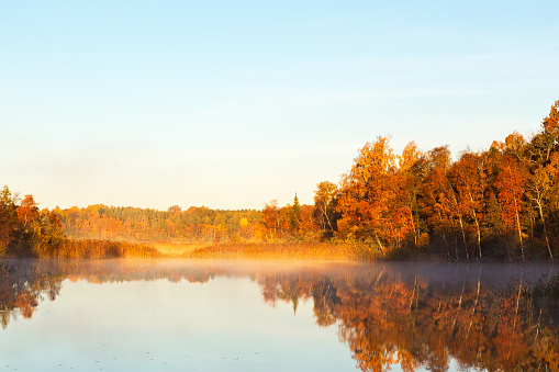 View of a lake with mist at dawn in the autumn