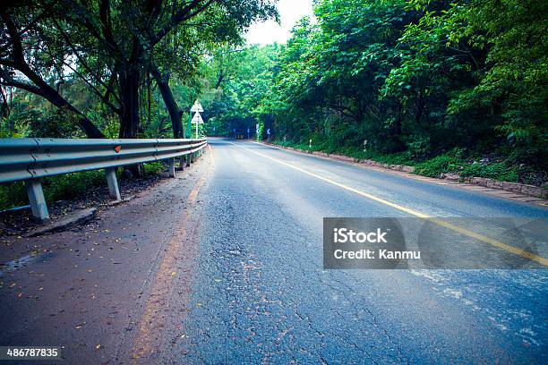 Strada Tortuosa Attraverso La Foresta Di Spessore - Fotografie stock e altre immagini di Albero - Albero, Ambientazione esterna, Appalachia