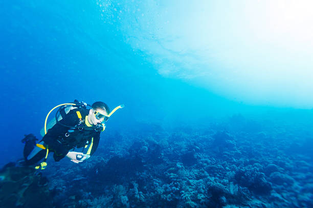 istock Silhouette of Scuba Diver near Sea Bottom 486788182