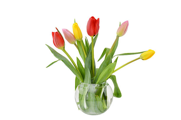 istock Tulips Flowers Floral Arrangement 486789413