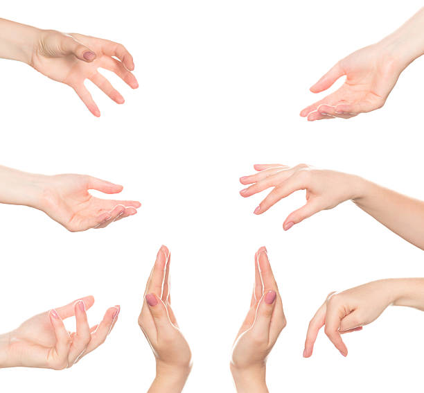 istock Collage of woman hands on white backgrounds 486789936