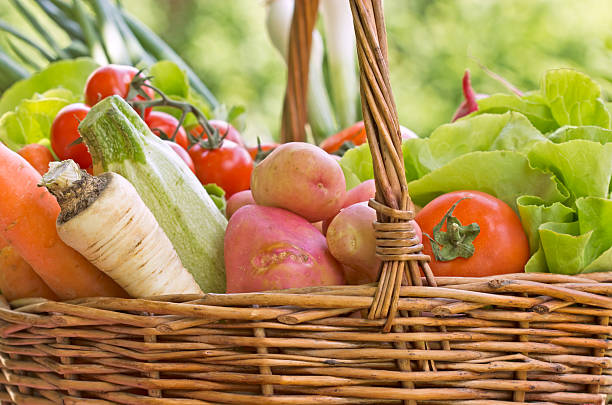 istock Wicker basket is full with organic vegetables 486790023